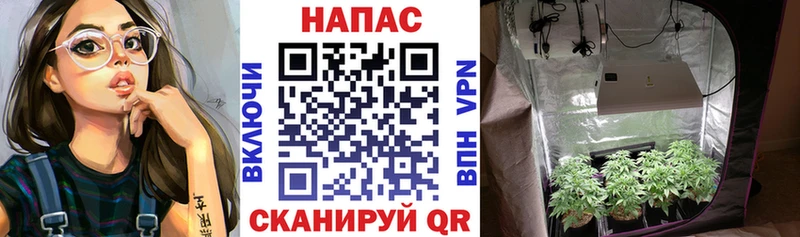 Где купить Ковылкино Кокаин  Меф мяу мяу  A-PVP  ГАШ 