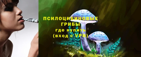 гашиш Белокуриха
