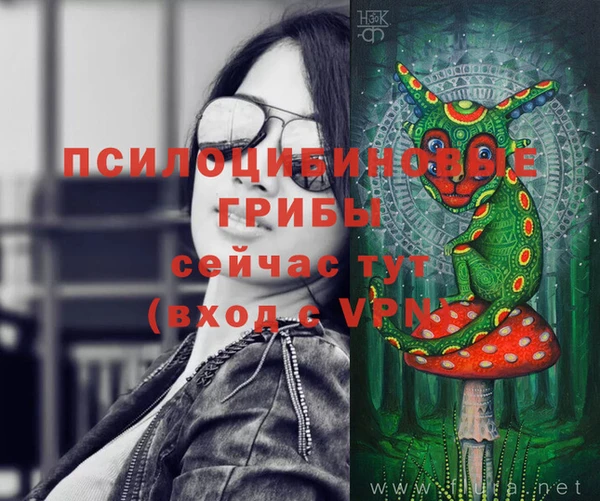 стаф Белоозёрский