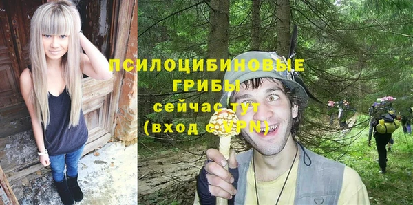 стаф Белоозёрский